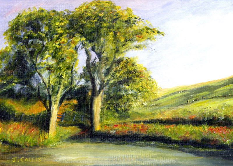 Evening Light Donegal