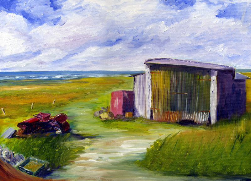 Tory Island Shed