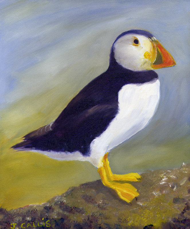 Puffin