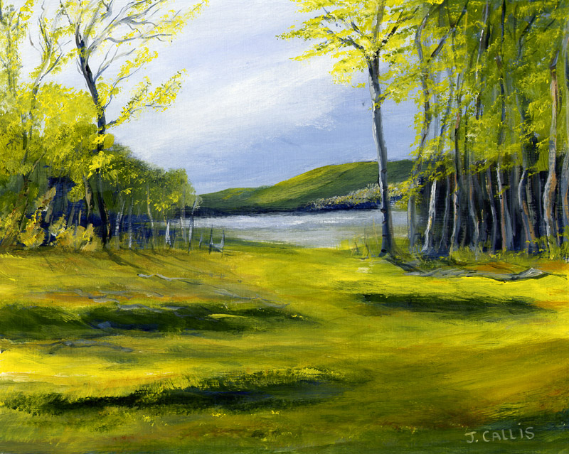 Sunlit Field and Lake