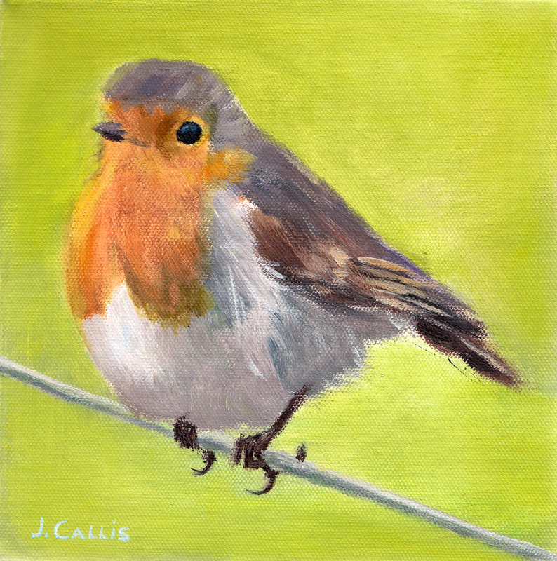 Robin