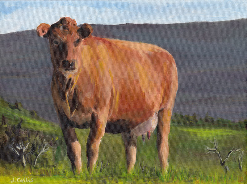 Cow