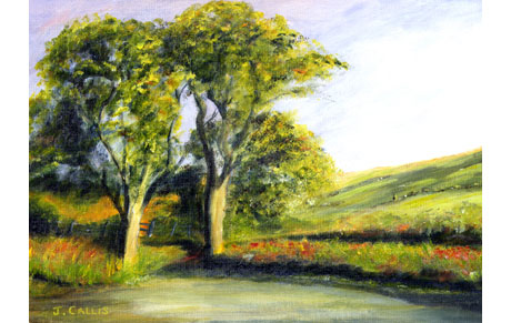 Evening Light Donegal