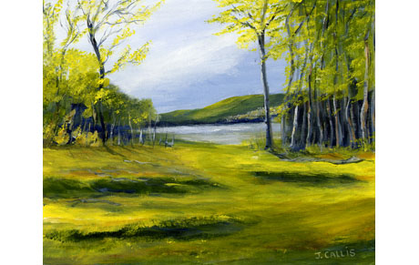 Sunlit Field and Lake