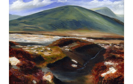 Wicklow Mountains