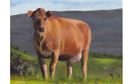 Cow